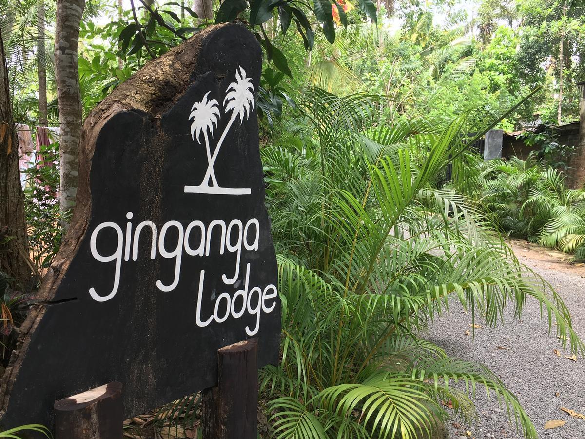 Ginganga Lodge Galle Exterior foto